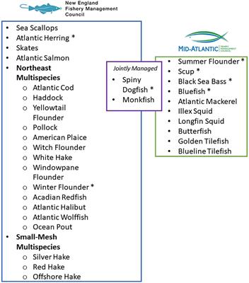 Identifying New England’s underutilized seafood species and evaluating their market potential in a changing climate